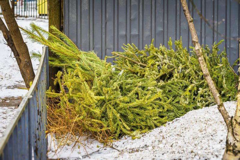 Deadwood Removal in Winter