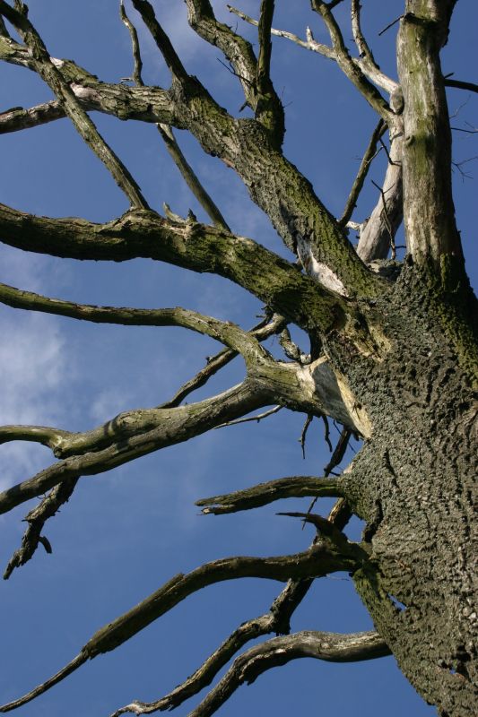 Prevent Further Damage